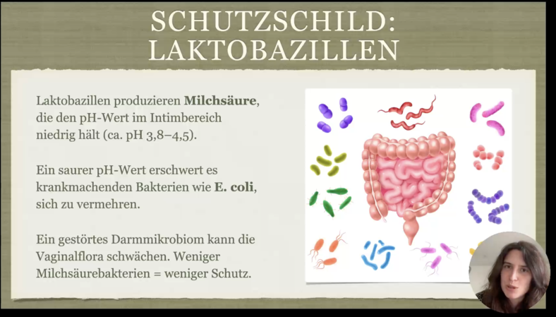 webinarfolien mit darmabbildung
