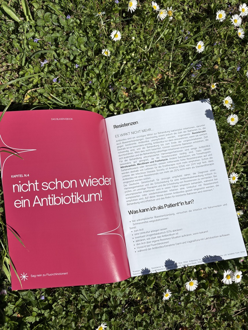 rosa magzin im gras aufgeschlagen