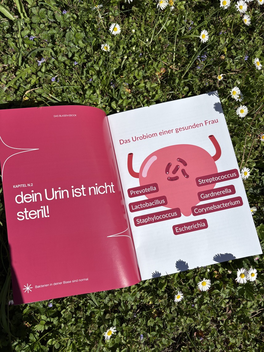 rosa buch im gras liegend offen