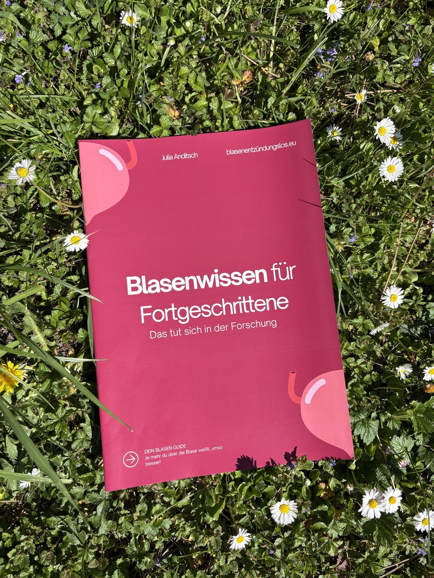 rosa buch im gras liegend offen